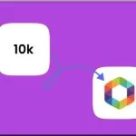 تفاوت فالوور و فالووینگ در روبیکا